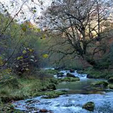 El Ponguetu